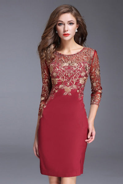 Embroidered Lace Dress | Gorgeous Women's Dress - Dress Album